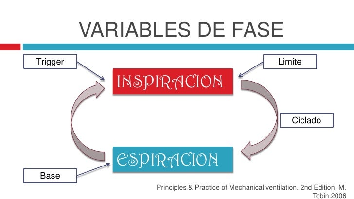 principles and practice of mechanical ventilation 2nd edition pdf