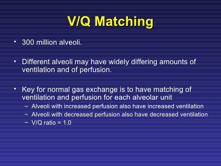 Ventilation Perfusion Matching
