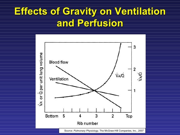 Ventilation Perfusion Matching