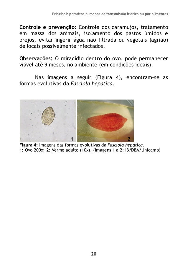 Existência de parasitas em um tratamento de corpo humano
