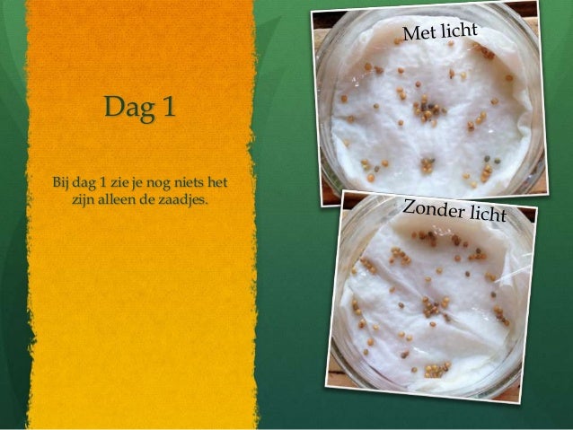 Verslag ontkiemen