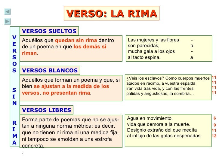 El verso y sus características