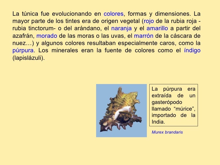 La túnica fue evolucionando en  colores , formas y dimensiones. La mayor parte de los tintes era de origen vegetal ( rojo ...