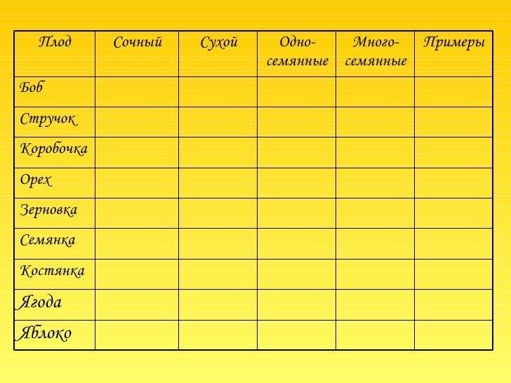 Околоплодником сухих плодов Околоплодником сухих плодов
