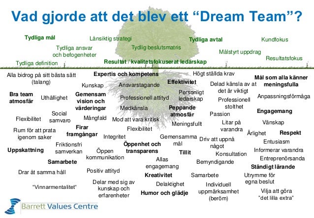 Vad gjorde att det blev ett “Dream Team”?
Tydliga definition
Tydliga mål
Flexibilitet
Uppskattning
Professionell attityd
G...