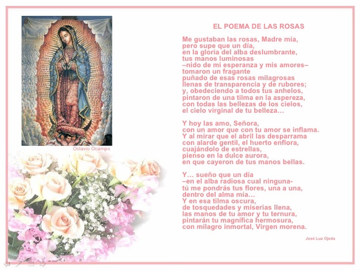 Virgen de Guadalupe