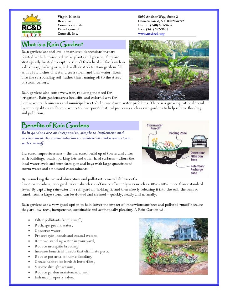 Virgin Islands Rain Garden Fact Sheet