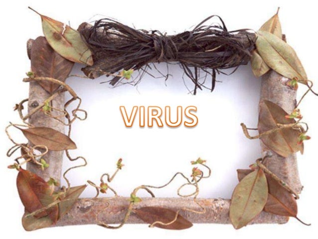 Biologi Virus | biologi virus Biologi Virus | biologi virus