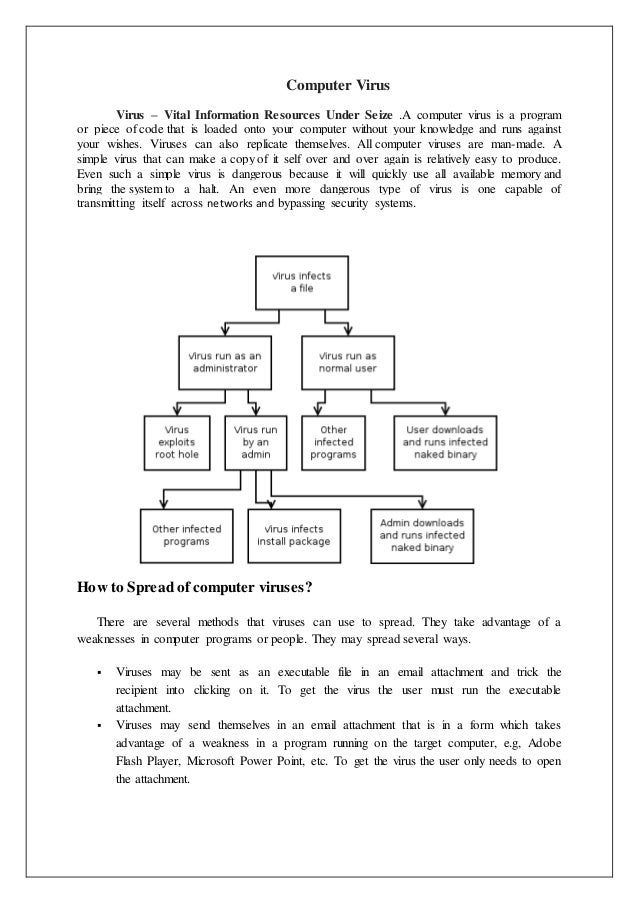 Types Of Computer Virus And Definition Each Type Pdf
