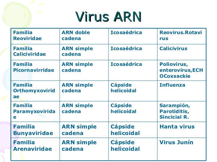 Virus Arn