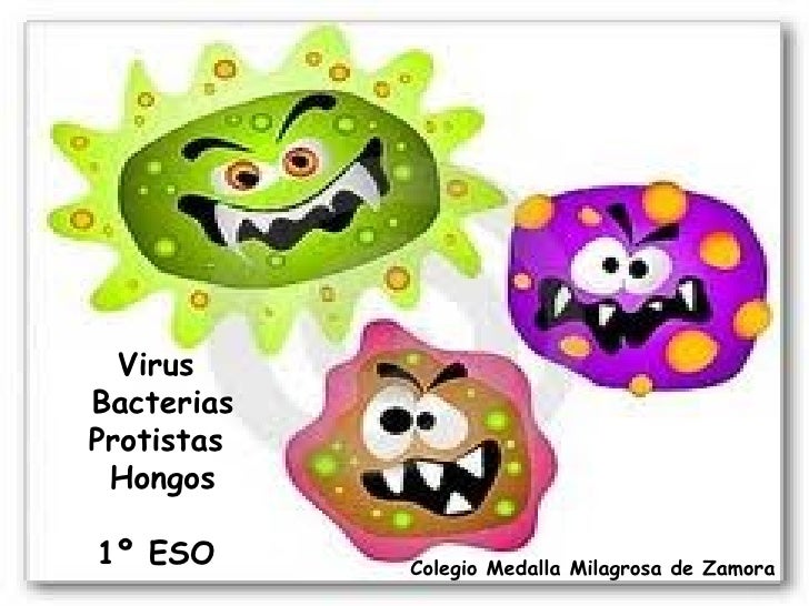 VIRUS Y SUS CARACTERISTICAS virus y sus caracteristicas: