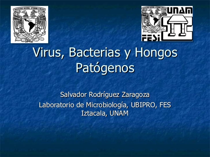 VIRUS Y SUS CARACTERISTICAS virus y sus caracteristicas: