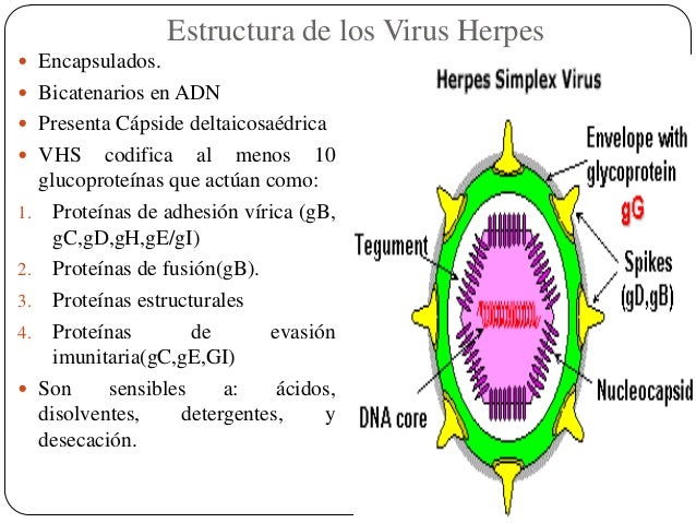 dating with hsv 2 Funny thing : i got herpes 2 from one night stand of unprotected sex the initial infection area doesn`t get any bumps at all now i have had problems dating. dating with hsv 2 Funny thing : i got herpes 2 from one night stand of unprotected sex the initial infection area doesn`t get any bumps at all now i have had problems dating.