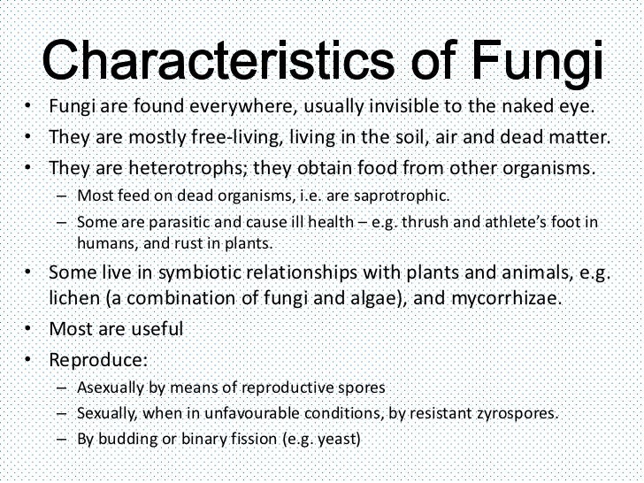 Fungi news article picture