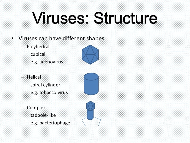 Bacteria Essay Title