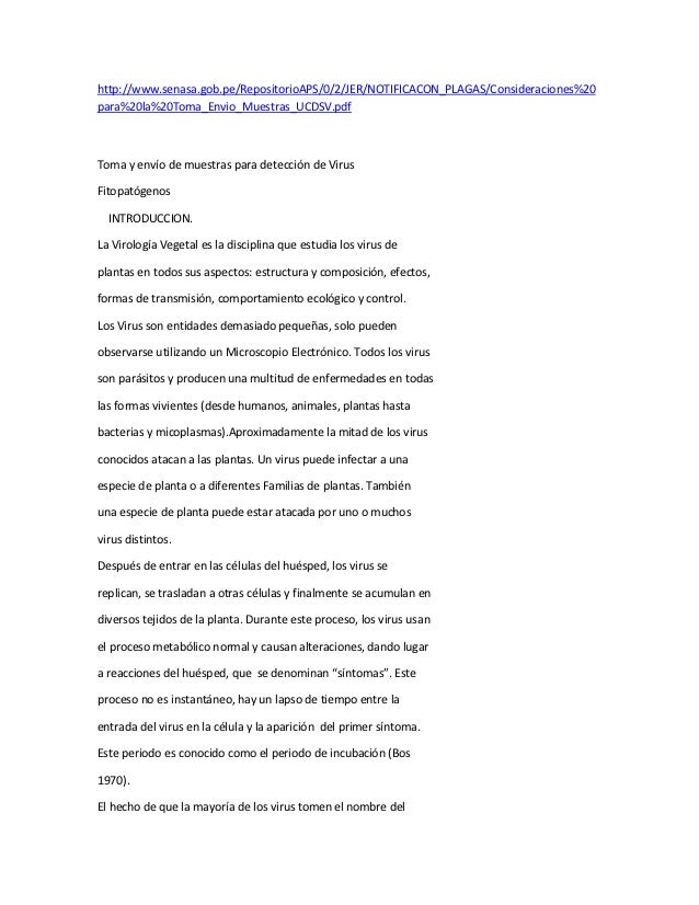 Manuel mujica lainez richard a valdes essay 03 picture