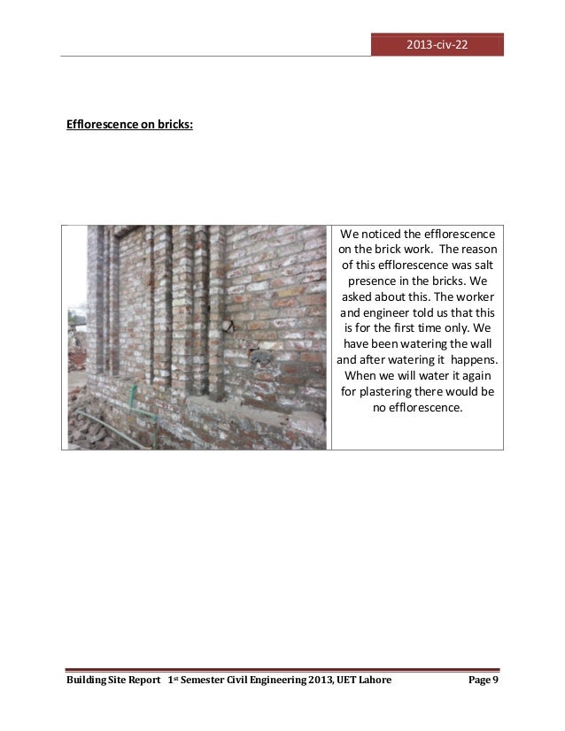 Culture essay writer website