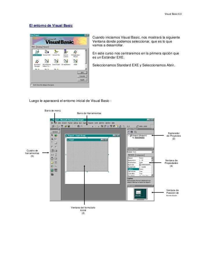 VISUAL BASIC 6 NET visual basic 6 net: