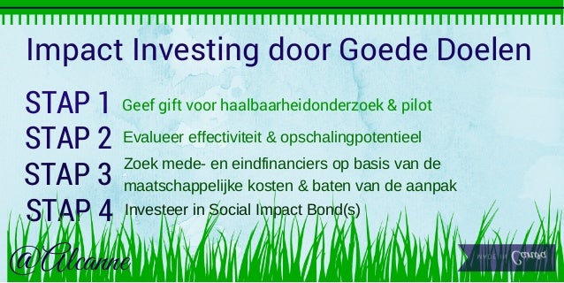 Visual  impact investing door goede doelen Stappenplan Slide2 EN