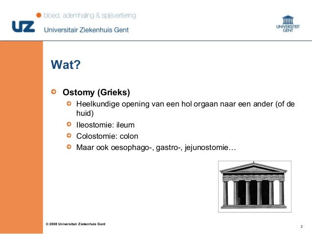 lucht maag