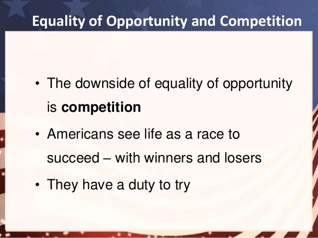 Equality in america essay