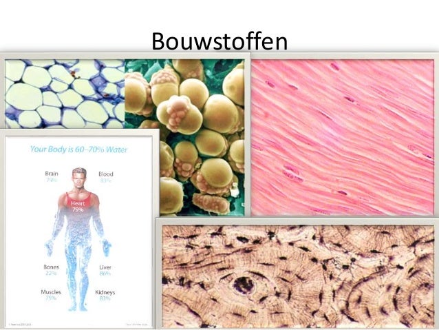 Voedingsstoffen