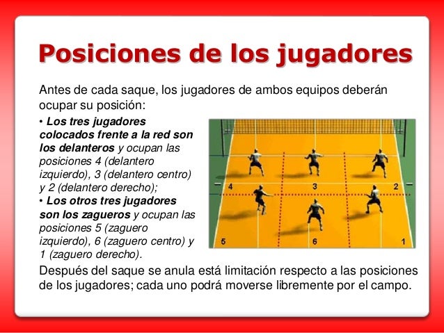 Voleibol [teoría & reglamento]