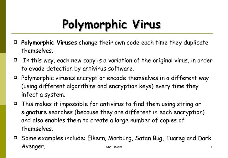 Hasil gambar untuk Polymorphic Virus