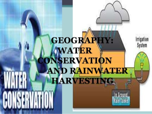 essay on narmada bachao andolan essay on narmada bachao andolan