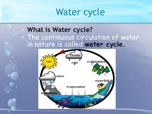 Water a precious resource essay