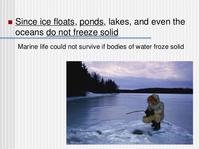 Properties of water essay ap biology