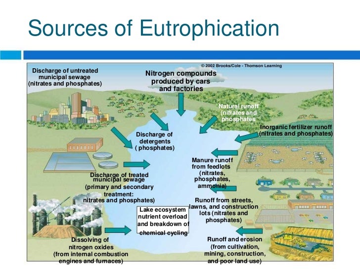 Buy research papers online cheap causes of water pollution and cures to stop it now