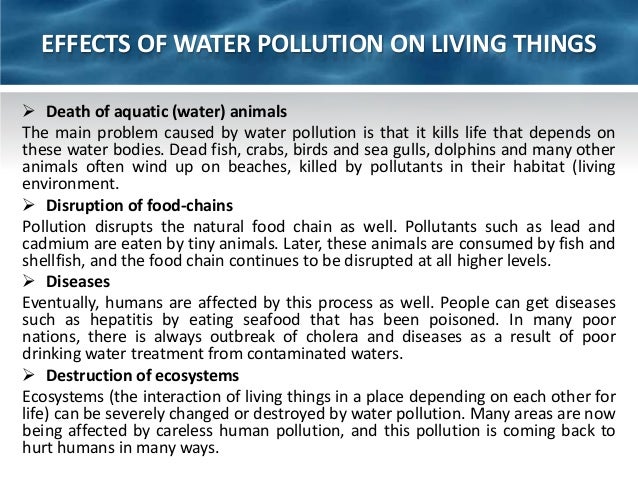 water pollution in essay water pollution in essay
