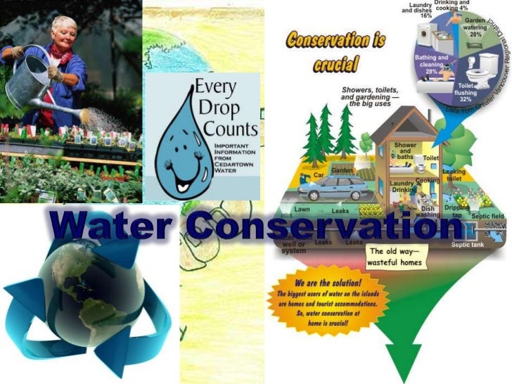 Water resources essay