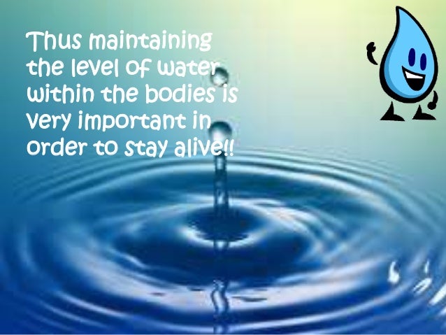precious water essay The importance of water on life essayswater has many roles in living organisms and life on earth is impossible without it it makes up between 60% and 95% of the fresh mass of the organisms. precious water essay The importance of water on life essayswater has many roles in living organisms and life on earth is impossible without it it makes up between 60% and 95% of the fresh mass of the organisms.