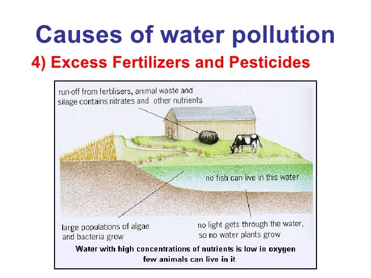 Water Pollution