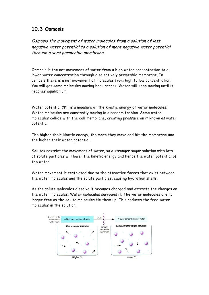water potential osmosis extension osmosis and diffusion lab report