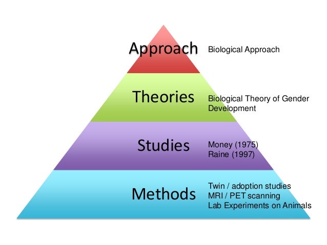 psychology biological approach essay Pinel highlights several types of research methods that are used within biological psychology these include experiments which are used by scientists. psychology biological approach essay Pinel highlights several types of research methods that are used within biological psychology these include experiments which are used by scientists.