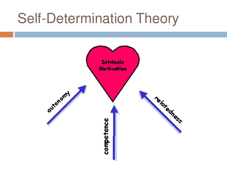 self determination theory essay self determination theory essay
