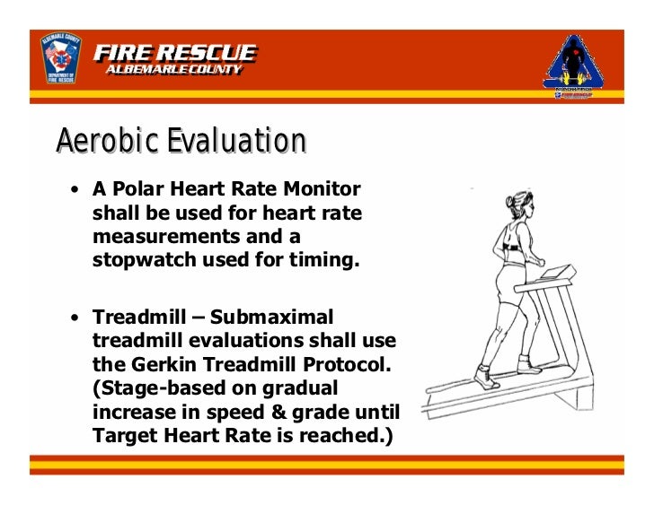 Wellness fitness program