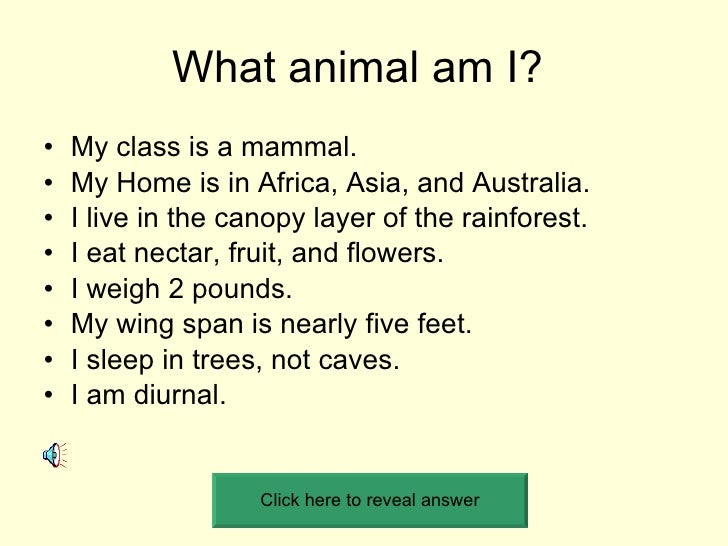new year which animal am i what animal am i for new year 28 images happy new year new year which animal am i what animal am i for new year 28 images happy new year