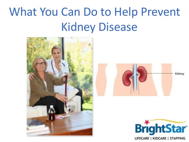 what-you-can-do-to-help-prevent-kidney-disease