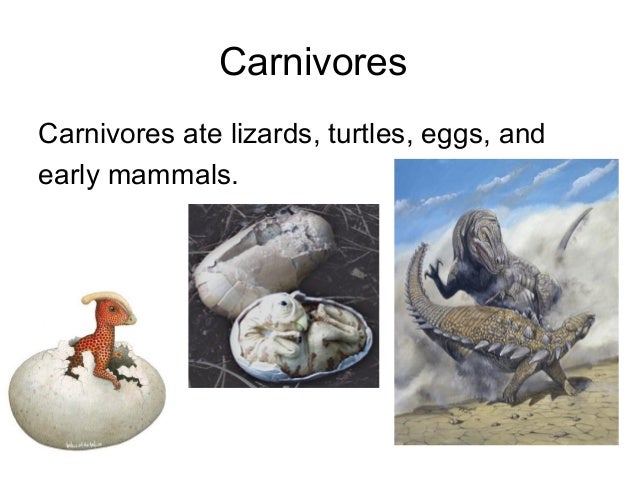 list of what dinosaurs eat