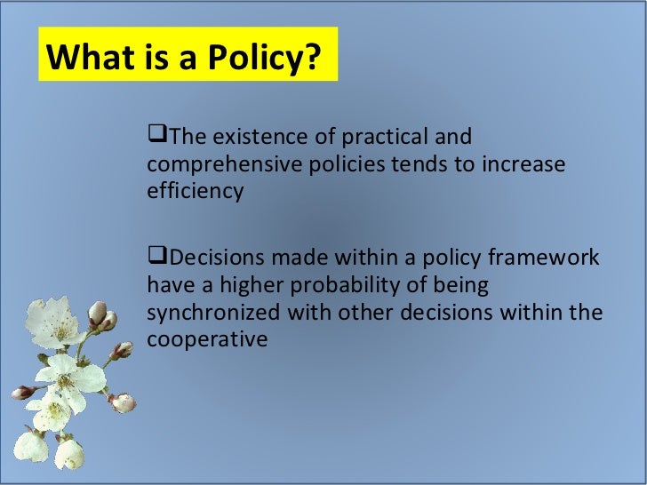 What is a policy?