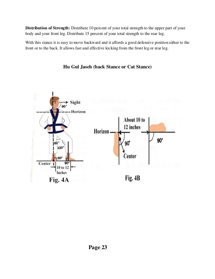 Karate black belt essay examples image