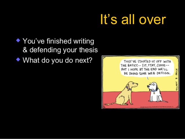 We write your thesis for you: Online essay writing service!