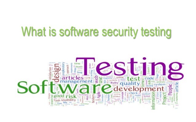 what is software security testing software security testing