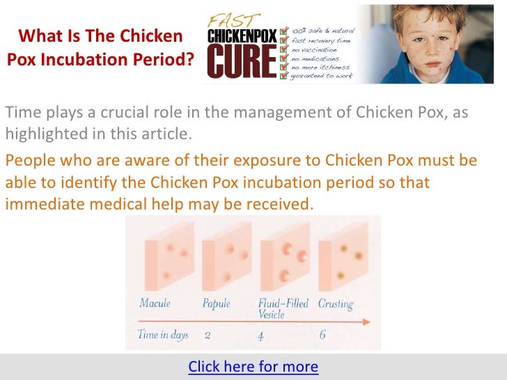 what is the gestation period for a what is the chicken pox incubation period what is the gestation period for a what is the chicken pox incubation period
