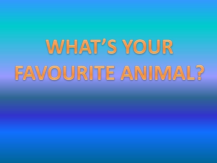 What’s your favourite animal