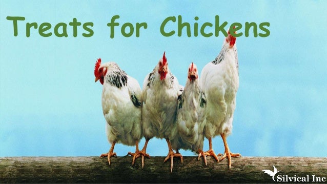 what can i give my for gas and bloating what treats can i give to my chickens what can i give my for gas and bloating what treats can i give to my chickens